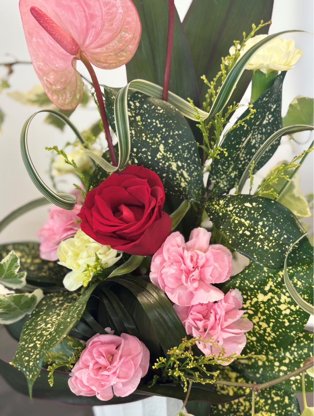 素敵なお花をいただきました💐✨
