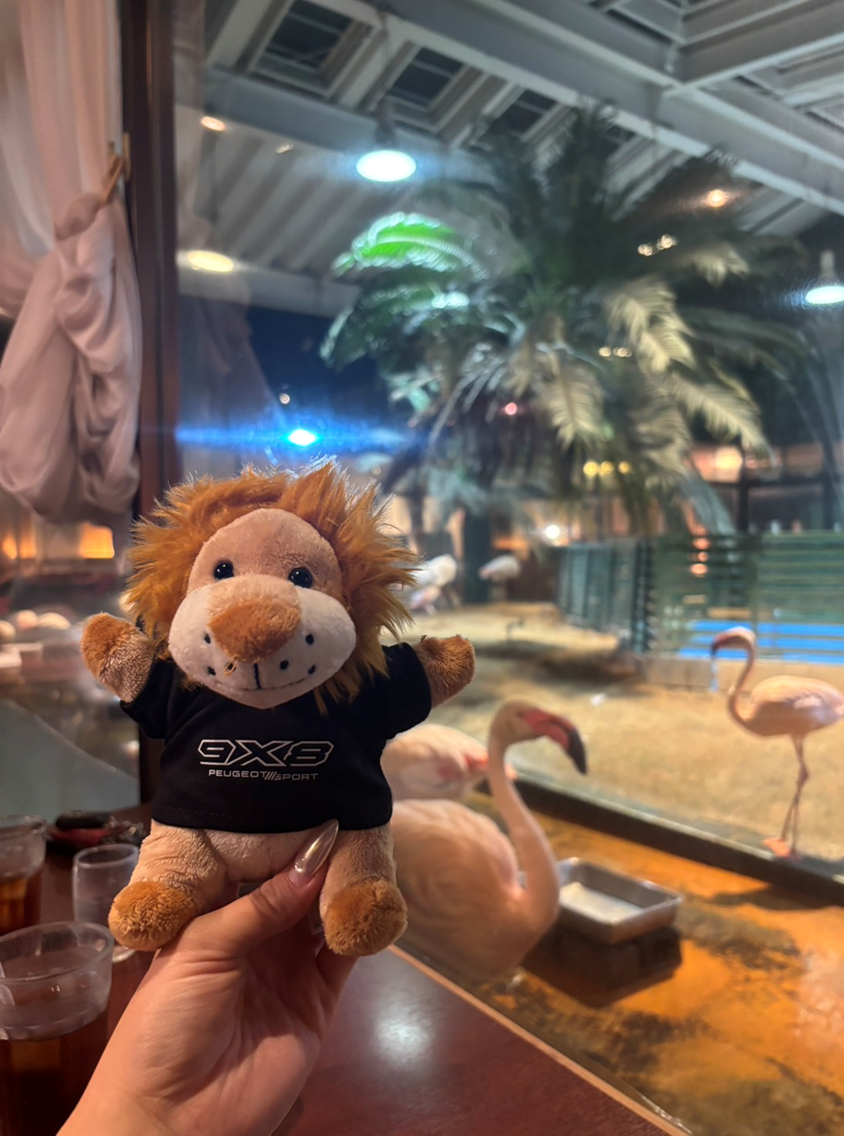 🦁プジョー水戸スタッフの休日🦁